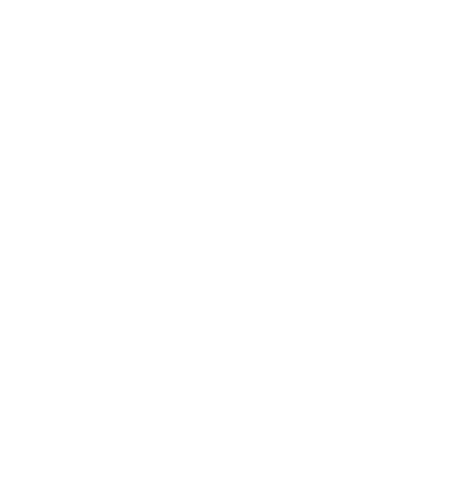 LTFI Logo