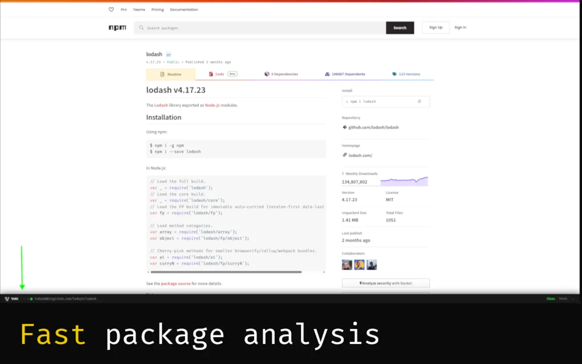 Vekt trust bar on npm package page showing fast package analysis