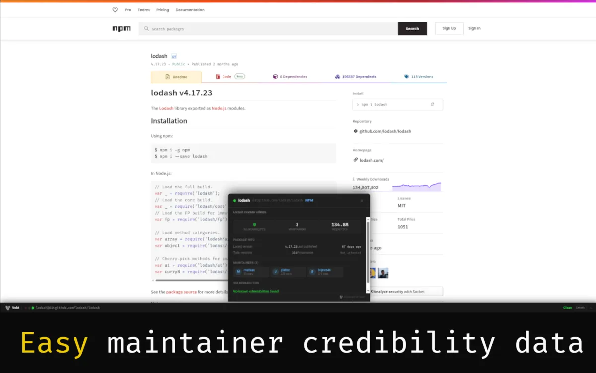 Vekt trust panel showing maintainer data, vulnerability count, and download stats